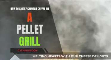 Smoky Cheddar Delight: A Guide to Grilling Perfectly Cheesy Pellet Grilled Cheddar