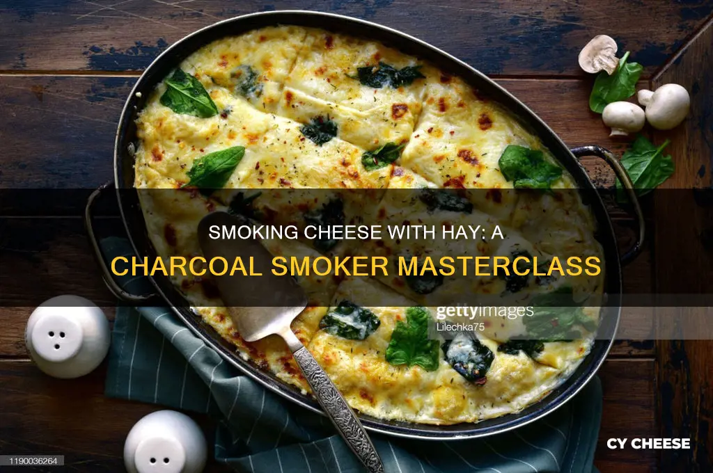 how to smoke cheese in a charcoal smoker with hay