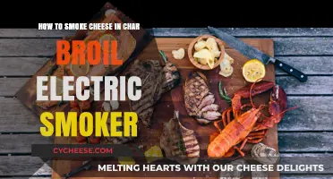 Mastering Smoky Cheese: Char-Broil Electric Smoker Tips & Techniques