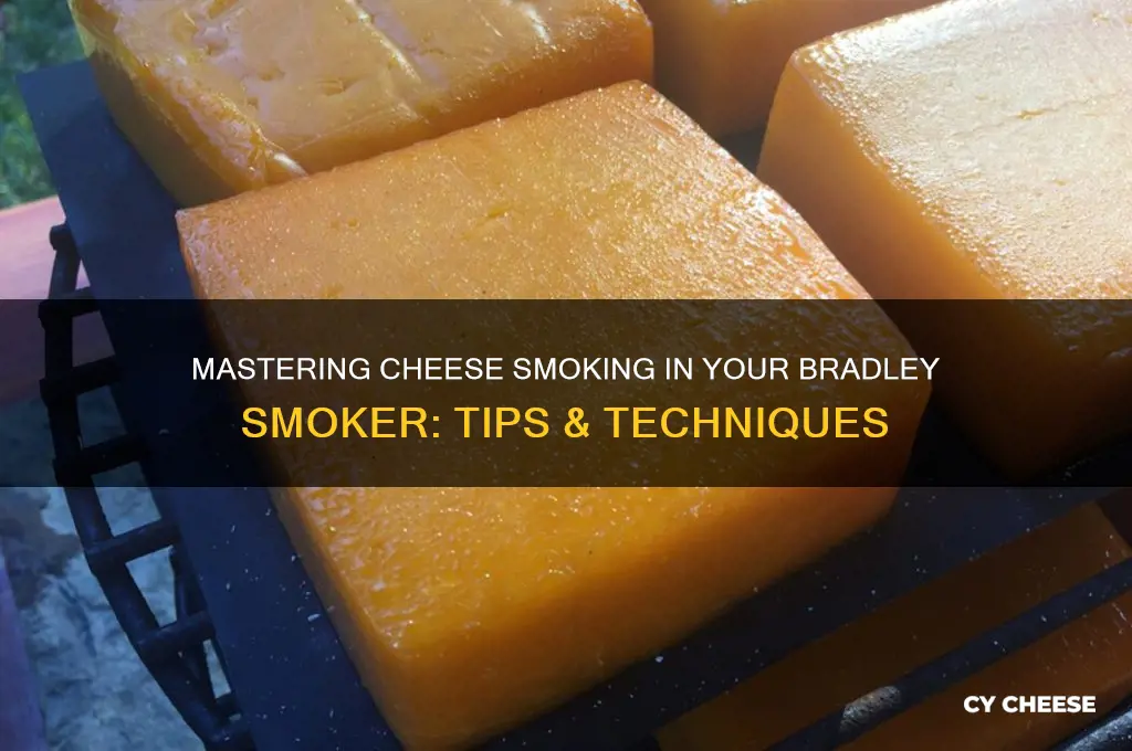 how to smoke cheese in my bradley smoker