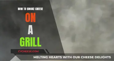 Smoking Cheese on a Grill: A Beginner's Guide