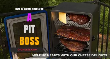 Mastering Pit Boss Cheese Smoking: Tips for Perfect Smoky Flavor