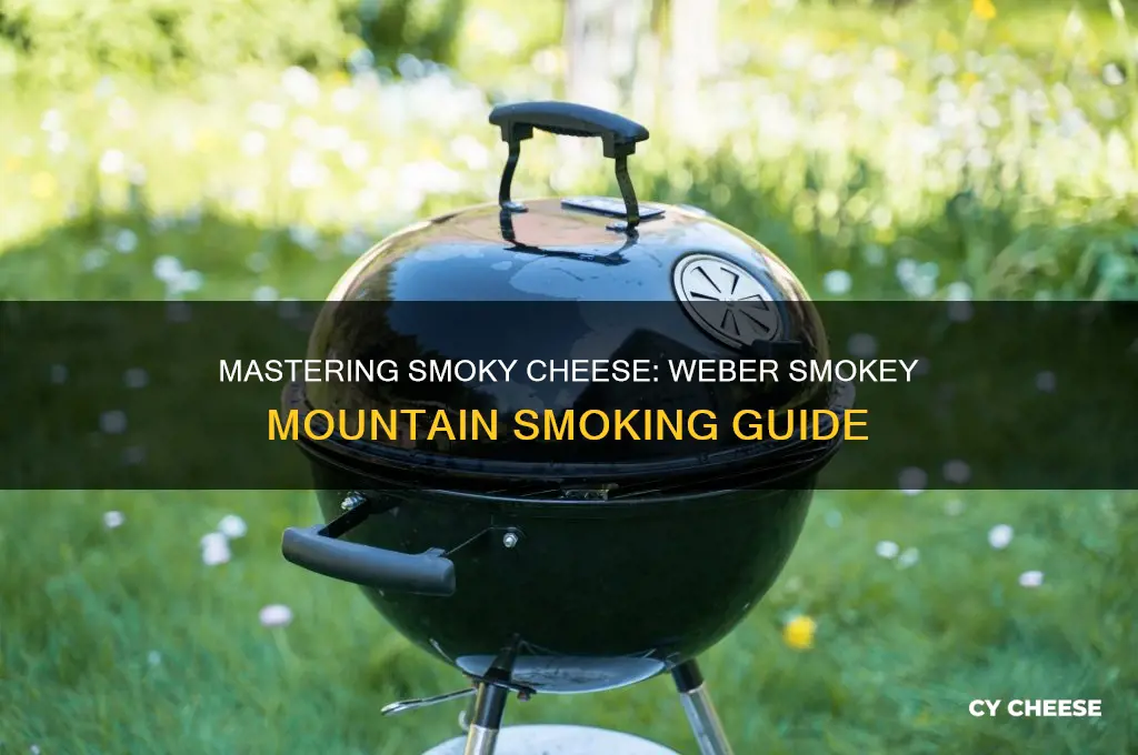 how to smoke cheese on weber smokey mountain