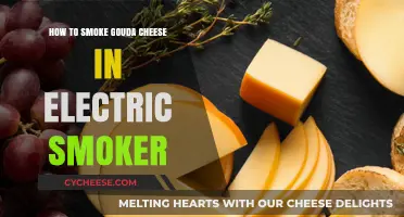 Mastering Smoked Gouda: Electric Smoker Tips for Perfect Flavor
