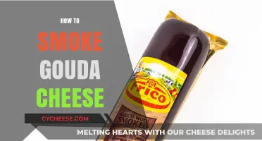 Mastering the Art of Smoking Gouda Cheese: Tips and Techniques