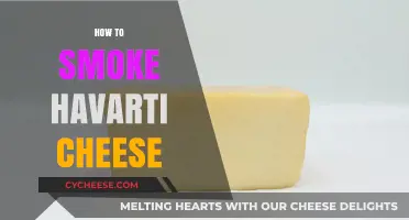 Mastering the Art of Smoking Havarti Cheese: Tips and Techniques