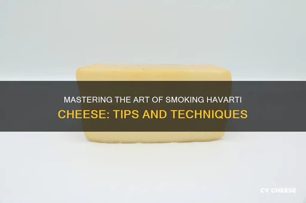 how to smoke havarti cheese