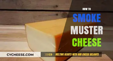 Mastering the Art of Smoking Munster Cheese: A Step-by-Step Guide