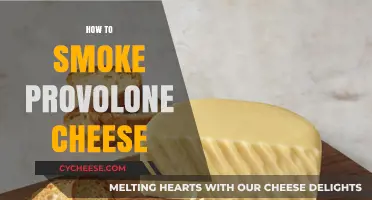 Mastering the Art of Smoking Provolone Cheese: Tips and Techniques