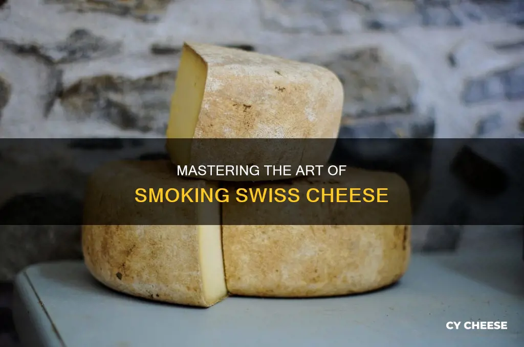 how to smoke swiss cheese