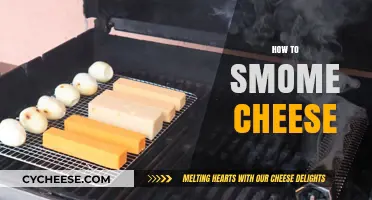 Master the Art of Smoking Cheese: Tips and Techniques for Perfect Flavor
