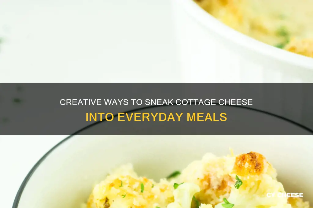 how to sneak cottage cheese into meals