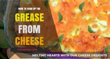 Effective Tips to Absorb Excess Grease from Cheesy Dishes