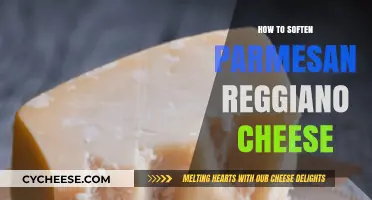 Softening Parmesan Reggiano: Tips and Tricks