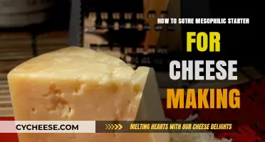 Effective Mesophilic Starter Storage Tips for Homemade Cheese Making