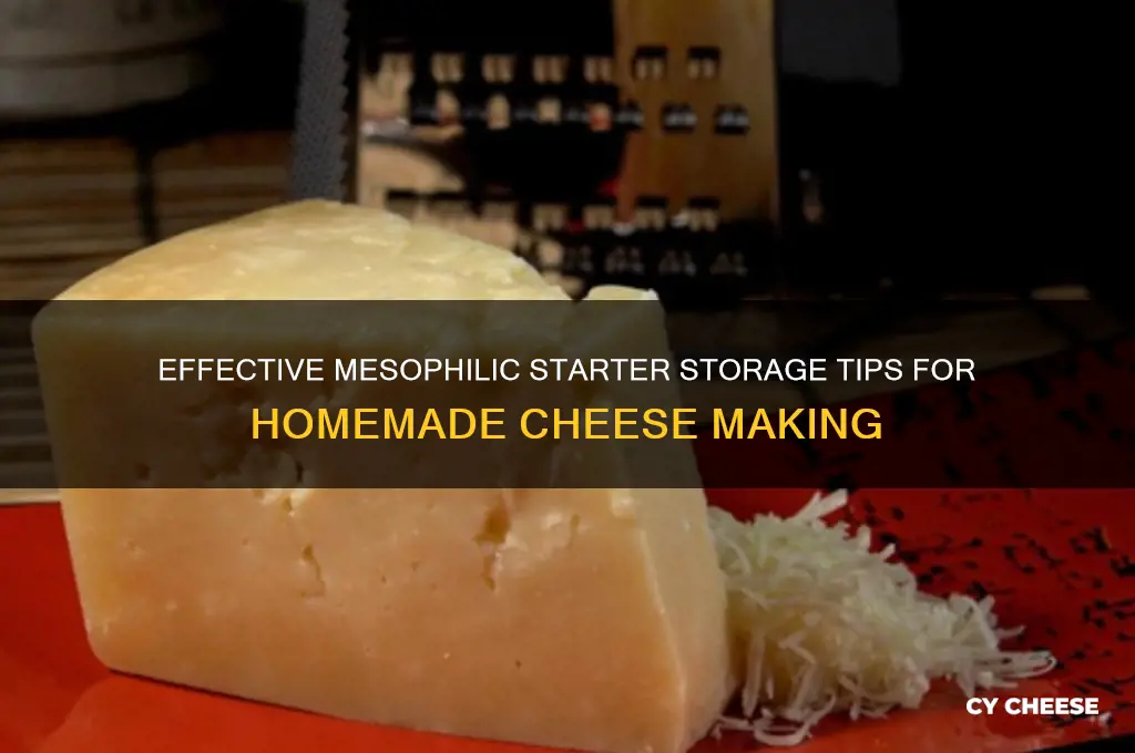 how to sotre mesophilic starter for cheese making