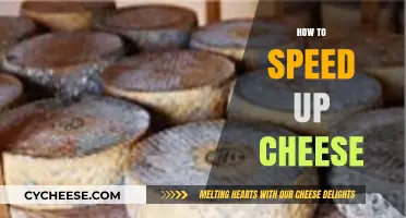 Quick Tips to Accelerate Cheese Ripening for Faster Enjoyment