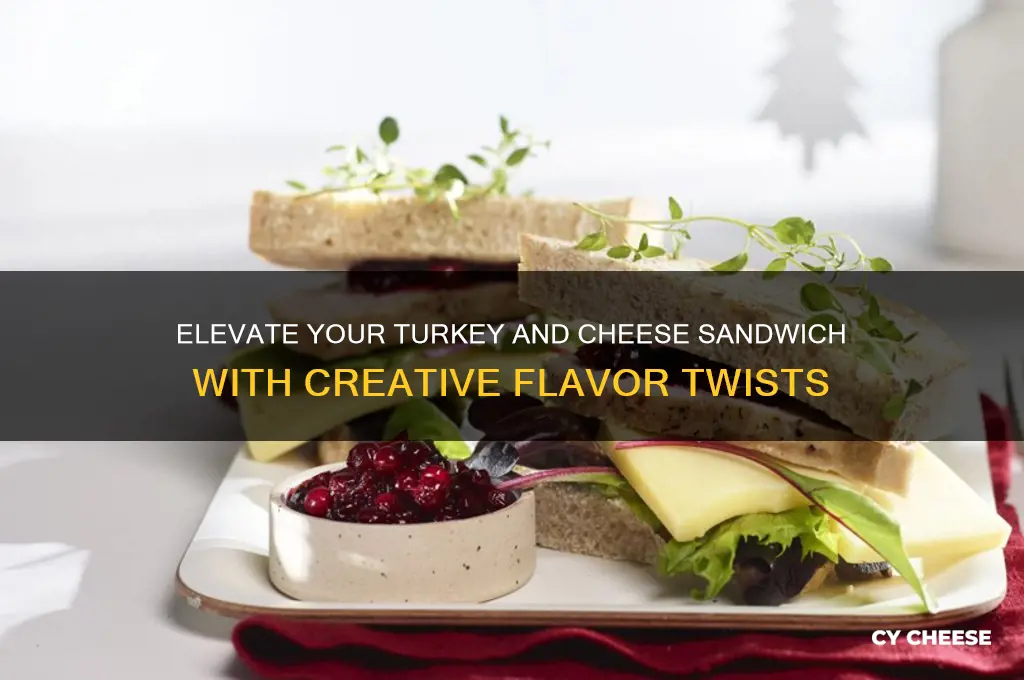 how to spice up a turkey and cheese sandwich