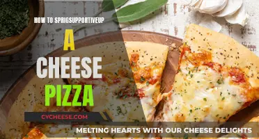 Elevating a Classic: Spicing Up Cheese Pizza