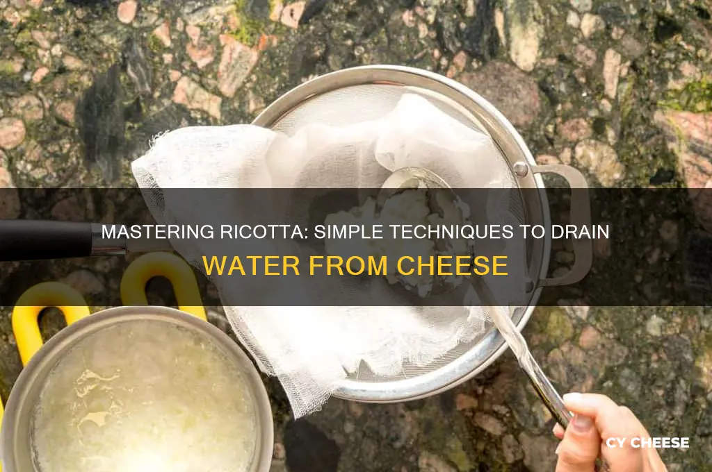 how to squeeze water out of ricotta cheese