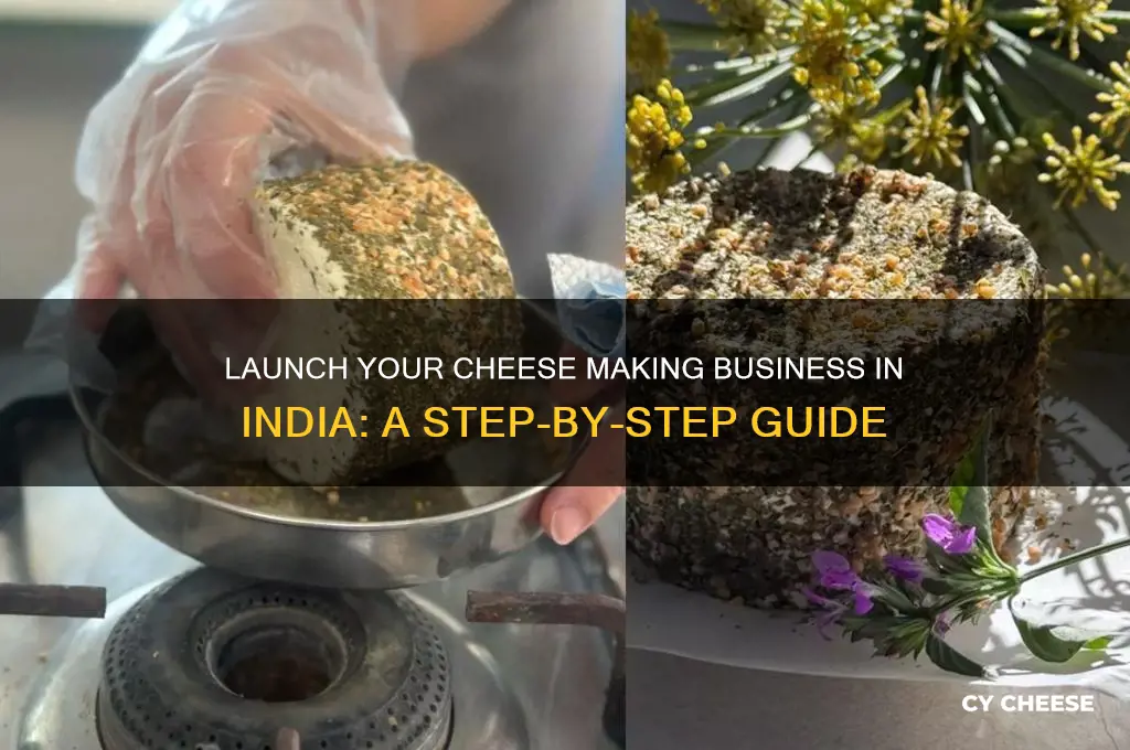 how to start a cheese making business in india