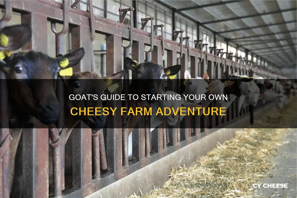 how to start a goat cheese farm