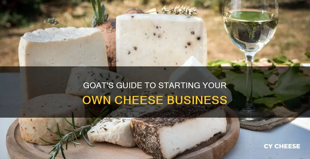 how to start a goat cheese making business