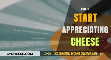 Discovering Cheese: A Beginner's Guide to Loving Every Bite