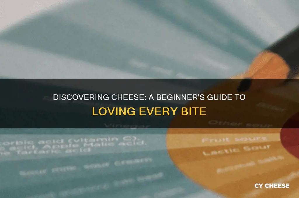 how to start appreciating cheese