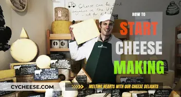 Master the Art of Homemade Cheese: A Beginner's Guide to Cheese Making