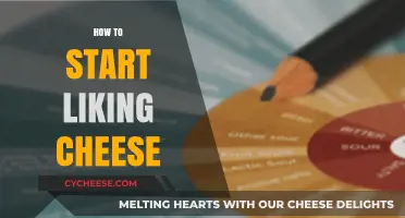 From Dislike to Delight: A Beginner’s Guide to Loving Cheese