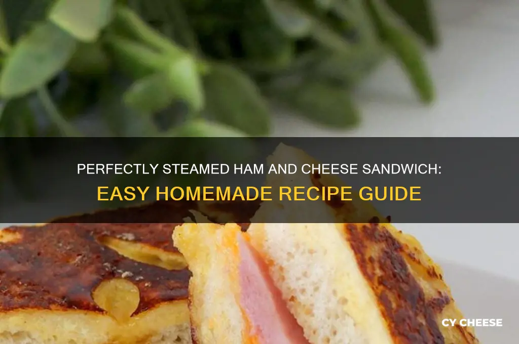 how to steam a ham and cheese sandwich at home