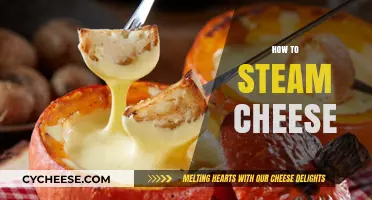 Mastering the Art of Steaming Cheese: Tips for Perfect Melty Results