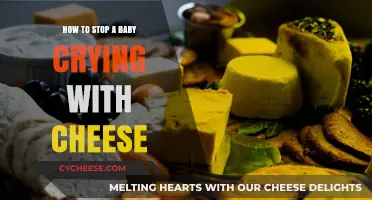 Cheesy Comfort: Creative Ways to Soothe a Crying Baby with Cheese