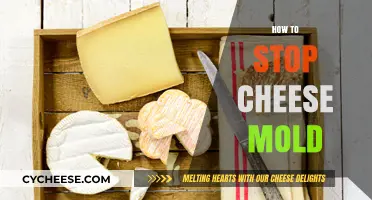 Prevent Cheese Mold: Effective Tips to Keep Cheese Fresh Longer
