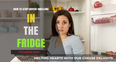 Fresh Fridge Tips: Eliminate Cheese Odor and Keep It Clean