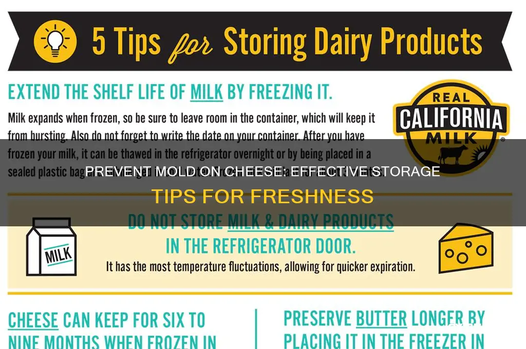 how to stop mold from growing on cheese
