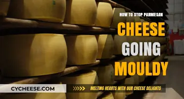 Preventing Mould: Parmesan Cheese Storage Tips
