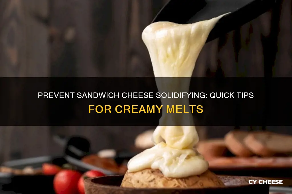 how to stop sandwhich cheese from solidifying immediately