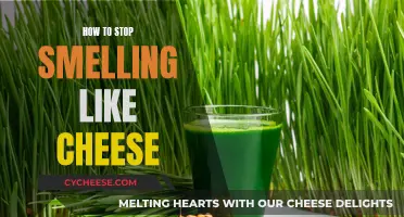 Eliminating the Cheese Odor: Tips for a Fresh Scent