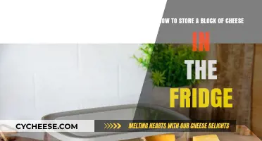 Proper Cheese Storage: Tips for Keeping Your Block Fresh in the Fridge