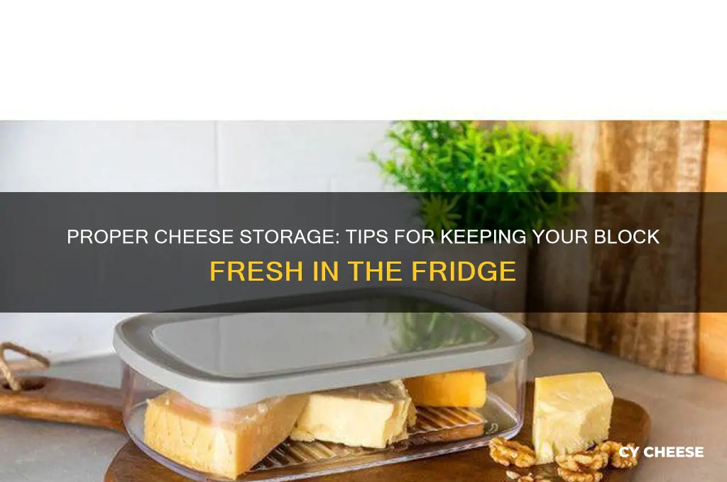how to store a block of cheese in the fridge