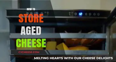 Mastering Aged Cheese Storage: Tips for Perfect Preservation and Flavor