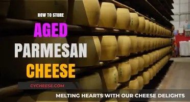 Aged Parmesan: Best Storage Methods for Longevity