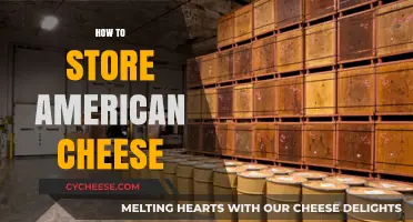 Proper Storage Tips for Keeping American Cheese Fresh and Tasty