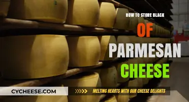 The Best Way to Store Parmesan Cheese