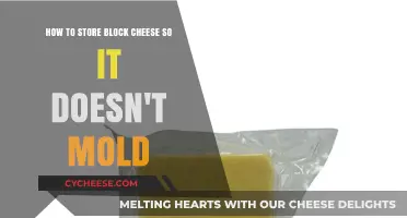 Prevent Mold: Best Practices for Storing Block Cheese Freshly