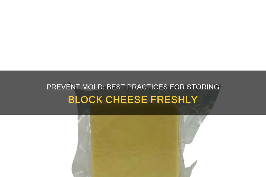 how to store block cheese so it doesn