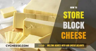 Mastering Block Cheese Storage: Tips for Freshness and Flavor Preservation