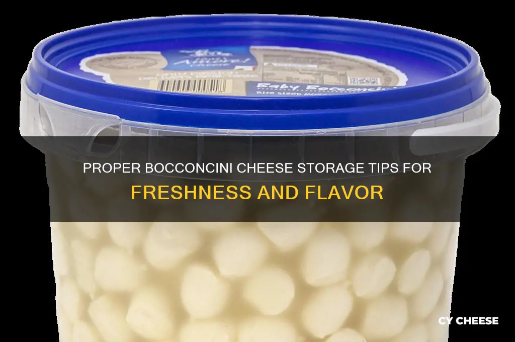how to store bocconcini cheese